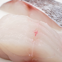 Blue Snapper