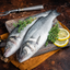 Branzino