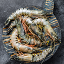 Jumbo Tiger Shrimp