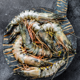 Jumbo Tiger Shrimp