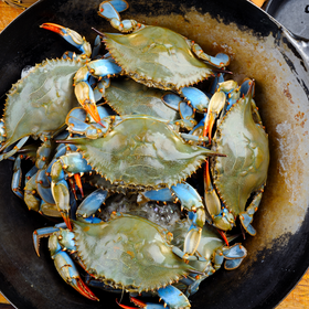 Live Blue Crab Dozen