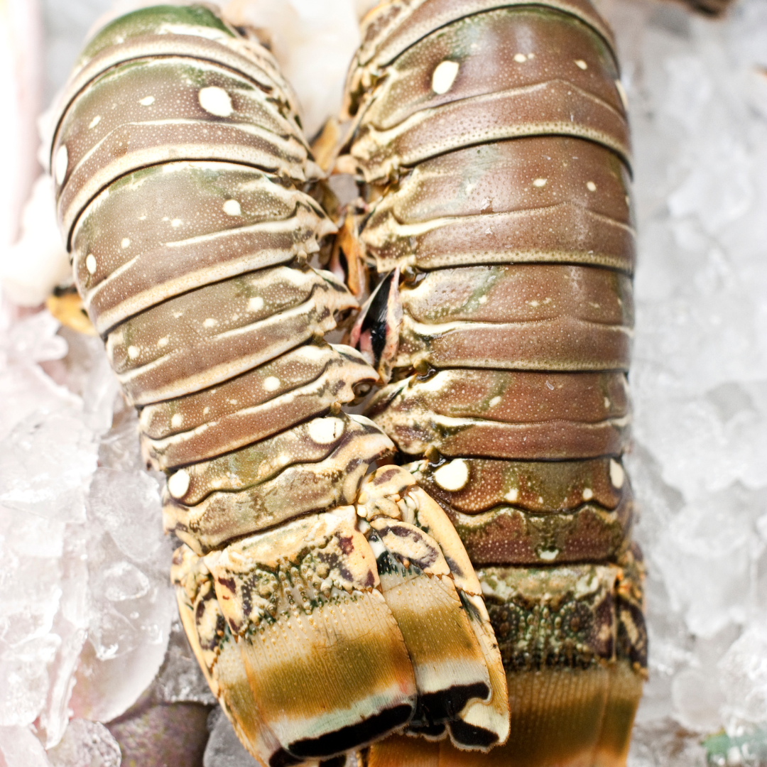 Jumbo Lobster Tail 10oz