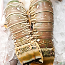 Jumbo Lobster Tail 10oz
