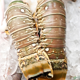 Jumbo Lobster Tail 10oz