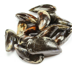 Mussels 1lb bag