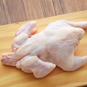 Pollo Vivero