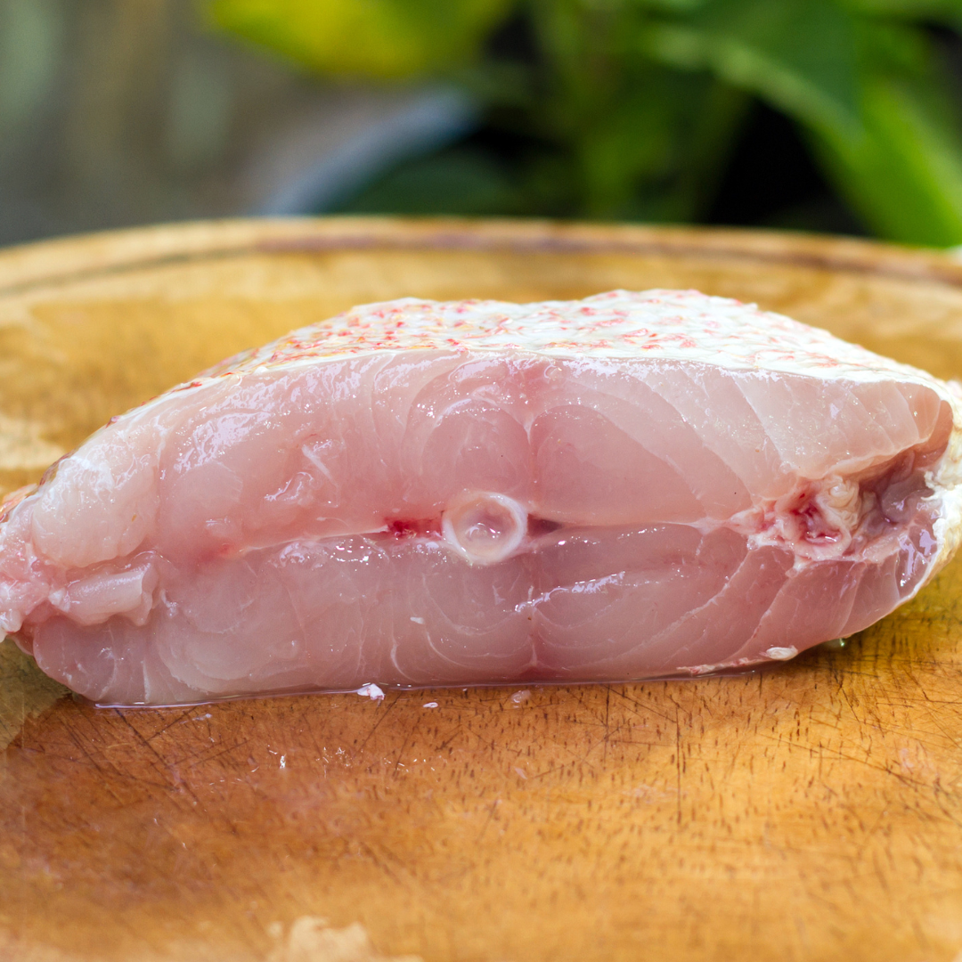 Red Snapper Steak