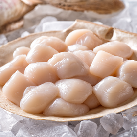 Scallops